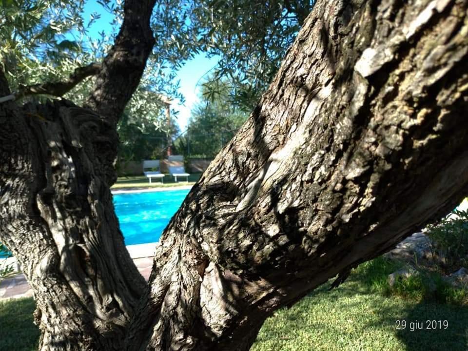 La Ginestra Panzió Trani Kültér fotó